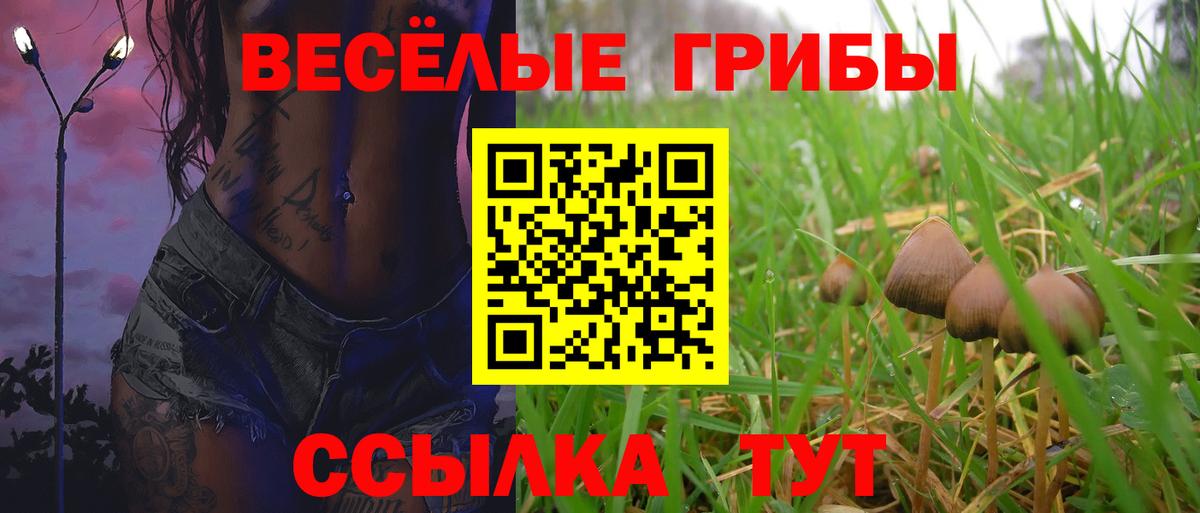 Лениногорск  Гашиш  Лсд 25  Вход с VPN  ГАШ  Меф МЯУ МЯУ   Кокаин  Бошки Шишки 
